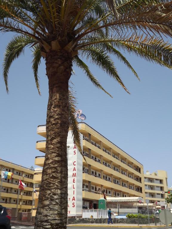 Apartamentos Las Camelias Playa del Ingles  Exterior photo